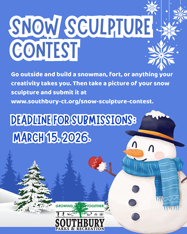 snow sculpture contest flyer